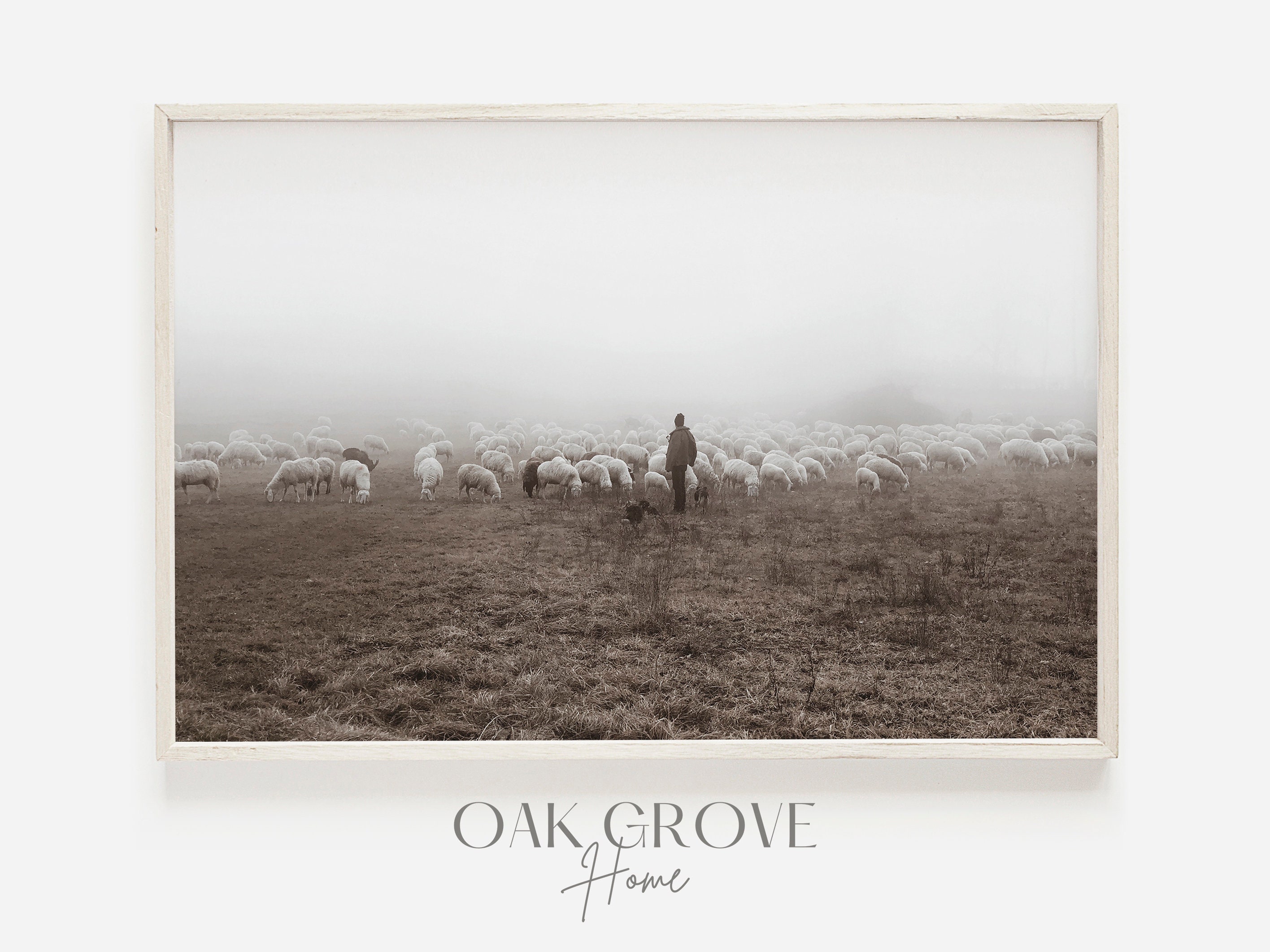 Sheep Herder in Fog, Rustic Farmhouse, Neutral Sheep Poster, Sheep Herder Print, Shepherd Photography, Sheep For Farmhouse, Rustic Sheep Art
