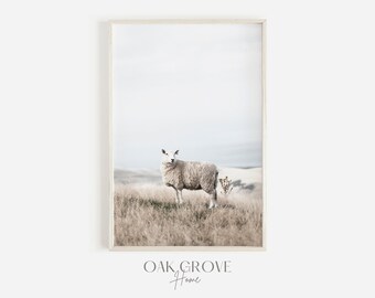 Sheep on Hill, Sheep Looking into Distance, Sheep Herding Scenery, Neutral Farm Decor, English Countryside, Sheep Farm Wall Art, Field Sheep