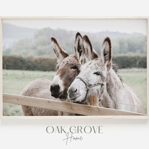 Two Donkeys Print, Donkey Wall Art, Farmhouse Decor, Rustic Donkey Photo, Donkey Printable Art, Country Style Print, Farmhouse Animal Photo