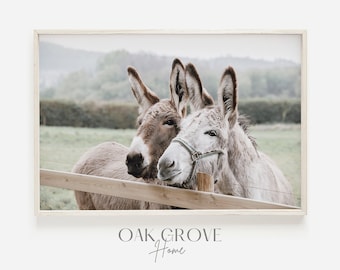 Two Donkeys Print, Donkey Wall Art, Farmhouse Decor, Rustic Donkey Photo, Donkey Printable Art, Country Style Print, Farmhouse Animal Photo