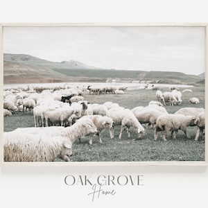 Sheep Herd in France, Sheep Grazing in Grass Meadow, Sheep Herder Print, Farmhouse Decor, French Countryside Print, Cottage Sheep Art