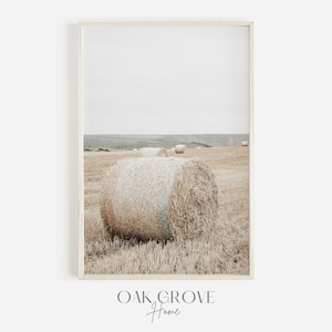 Round Bale of Hay, Hay Field Wall Art, Round Bale In Open Field, Bale Of Hay Printable, Hay Digital Art, Farmhouse Hay Photo, Hay Photograph