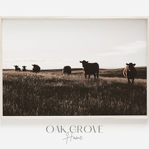Cows on Horizon, Midwest Cattle Decor, Cow Silhouette Poster, Black Angus Cows, Cattle Home Print, Farmhouse Wall Art, Modern Farm Poster