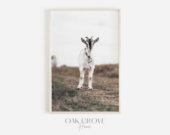 Little Goat Wall Art, Farmhouse Poster, Goat Photography, Modern Farmhouse, White Goat Photo, Rustic Goat Print, Countryside Scenery