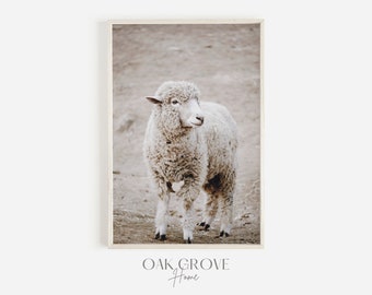 Neutral Sheep Photo, Sheep Photography, Rustic Farmhouse, Country Style Print, Neutral Farm Decor, Cottage Wall Art, Farm Animal Digital Art