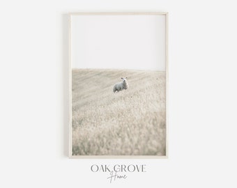 Farmhouse Sheep Scenery, Lonely Sheep in Wheat Field, Neutral Farmhouse Decor, Sheep Landscape Photo, Farm Sheep Print, Sheep Home Decor