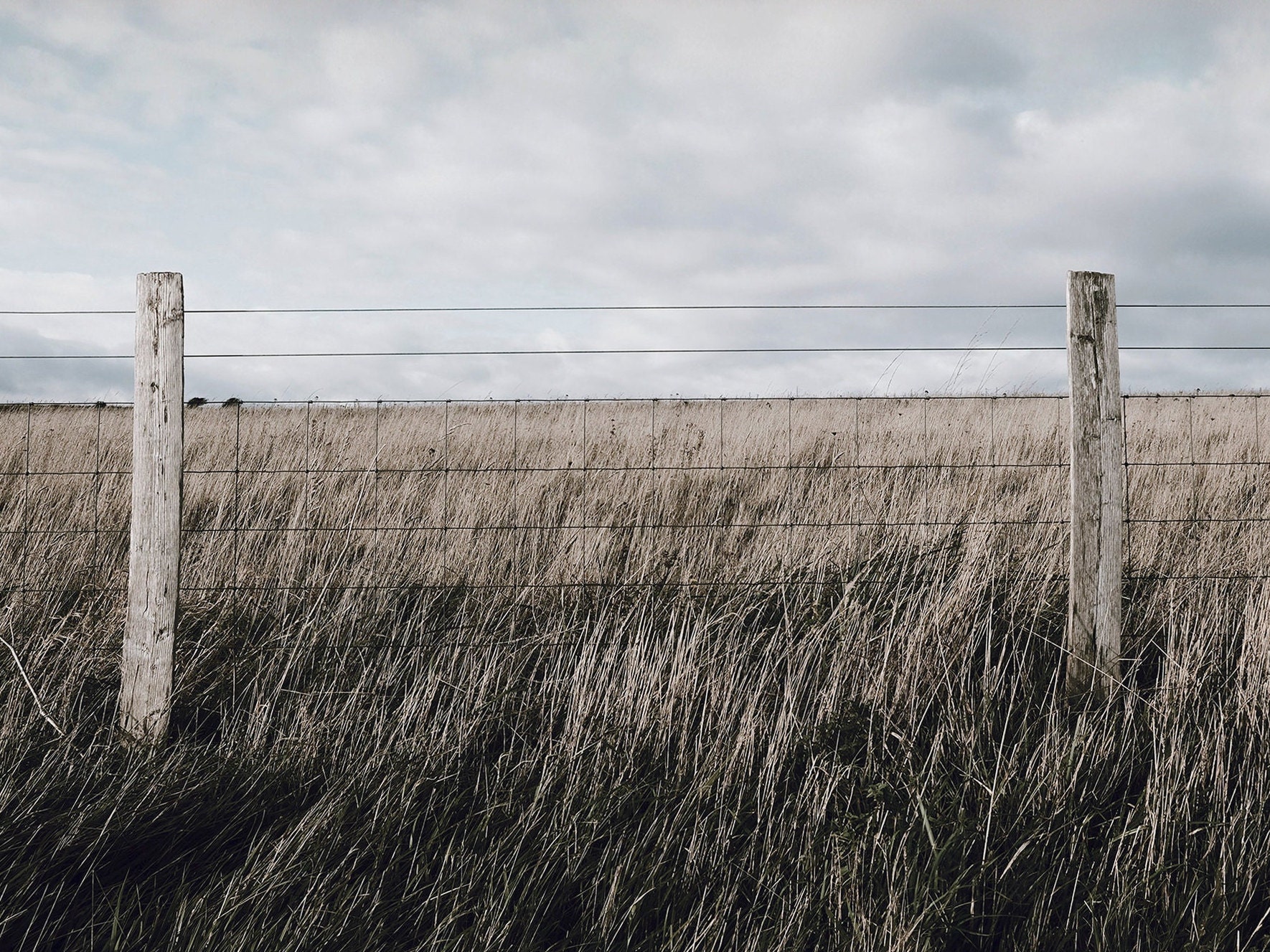 Cerca de alambre de púas, paisaje de granja rústica, cartel del oeste, foto  de la línea de la cerca, paisaje rural, cerca a lo largo del campo de  trigo, decoración estilo granja -, image size:1770x1327