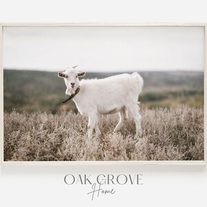 Pasture Goat Printable, White Goat in Field, Rustic Goat Scenery, Farmhouse Print, White Goat Wall Art, Rustic Farm Decor, Goat Printable