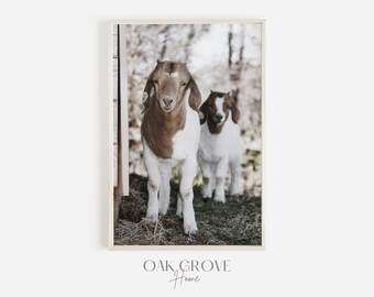 Two Baby Goats On Farm, Country Scenery, Rustic Farm Photo, Baby Goats Wall Art, Neutral Decor, Country Farm Printable, Baby Goat Photograph