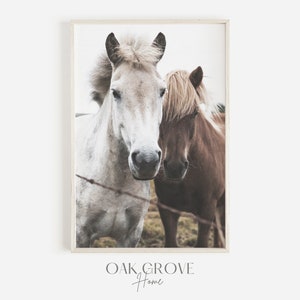 Horse Ranch Wall Art, Rustic Horse Photography, Pair Of Horses, Neutral Farmhouse Home Decor, Horse Printable, Western Horse Poster
