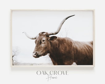 Texas Longhorn Cow, Texas Cattle Ranch, Longhorn Cow Poster, Western Home Decor, Longhorn Cattle Photography, Rustic Farmhouse Decor