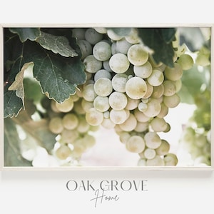 Puede incluir: Primer plano de un racimo de uvas verdes colgando de una vid. Las uvas son de color verde claro y están agrupadas. El fondo está desenfocado y fuera de foco.