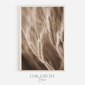 Beige Wheat Wall Art, Close Up Wheat Photo, Macro Photography, Whole Grain Wheat Print, Wheat Tiller, Beige Farmhouse Decor, Wheat Digital