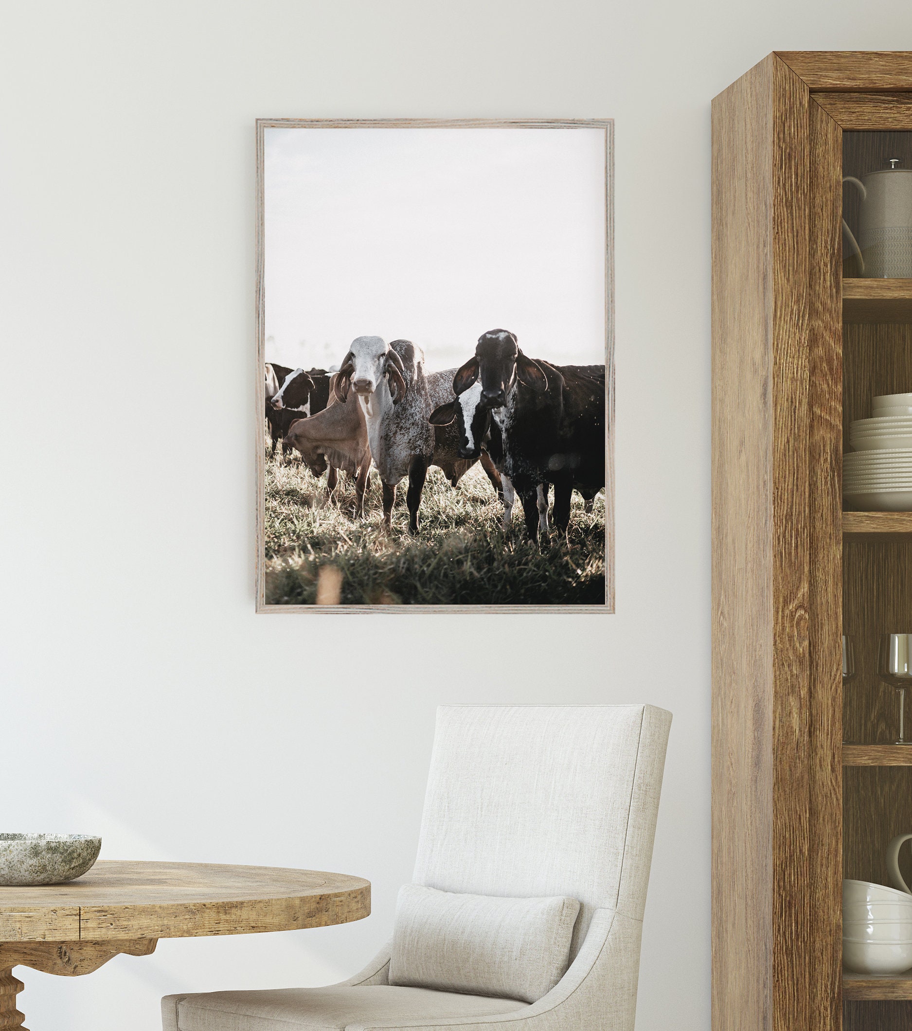 Brahman Cow Printable, Wrinkly Cow Wall Art, Brahman Cow Photography