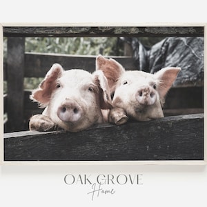 Two Pigs in Barnyard, Farm Animals Print, Farmhouse Digital Art, Pink Pigs Wall Art, Countryside Poster, Pig Digital Print, Farmhouse Decor
