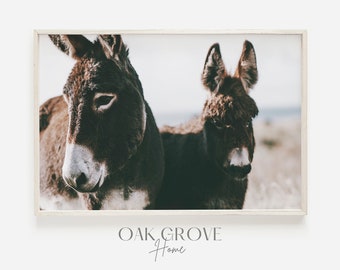 Farmhouse Donkey, Two Donkeys Print, Animal Photography, Farm Animal Photo, Brown Pair of Donkeys, Rustic Home Decor, Farmhouse Wall Art