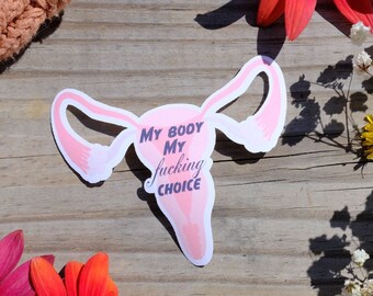 Uterus Sticker, Womens Rights Sticker, Equality Sticker, Water Bottle Sticker, Waterproof