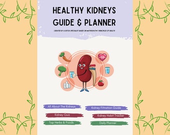 Kidney Health Guide & Planner, Kidney Disease, Kidney Stones, Wellness Guide, Nutrition Guide, Printable Health Guide, Kidney Filtration