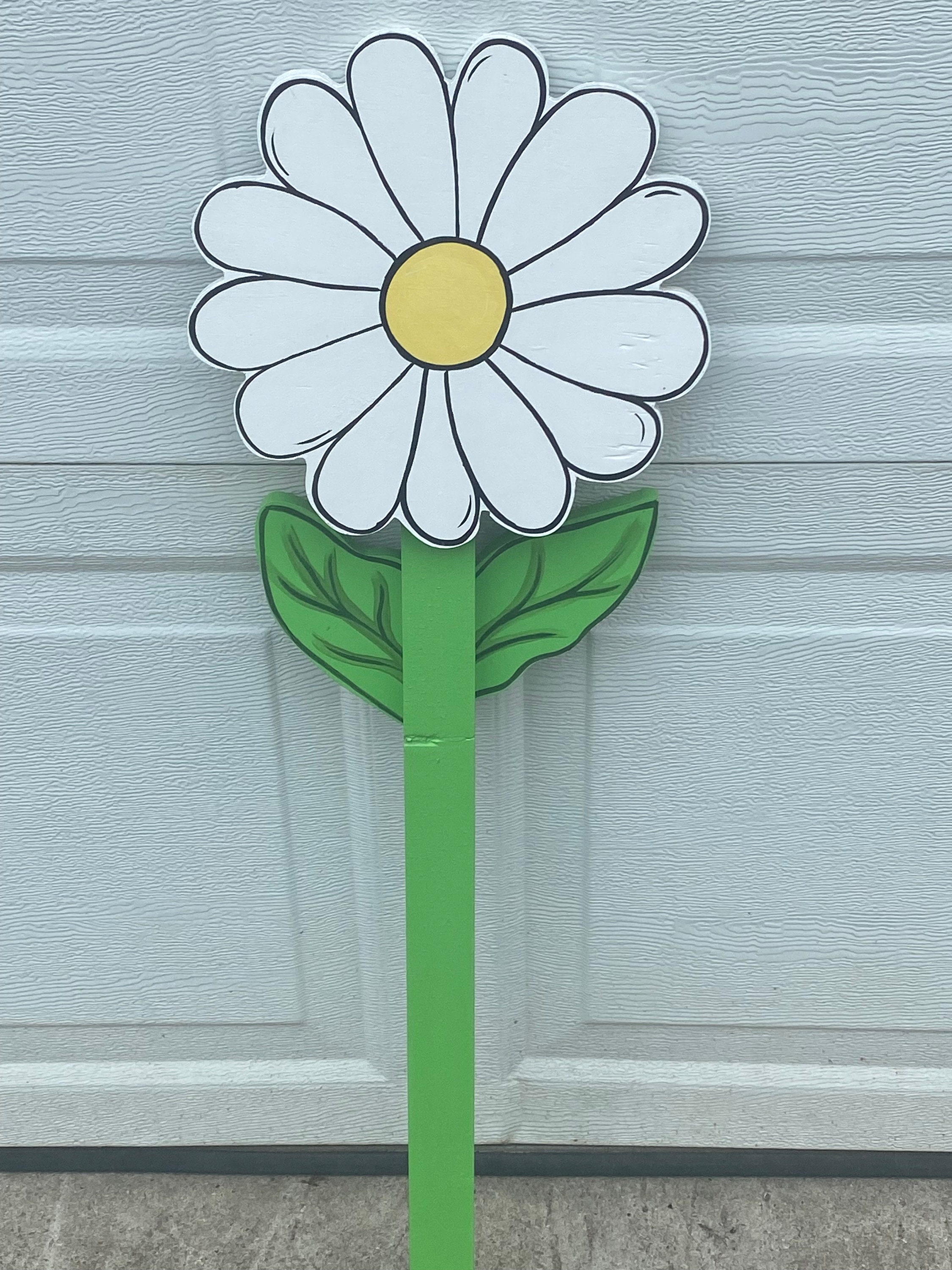 THE DAISY FLOWER That Never Needs Watering Wood Outdoor Lawn