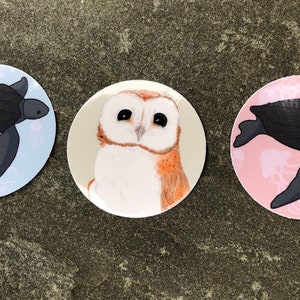 Barn Owl & Leatherback Turtle Vinyl Sticker Pack