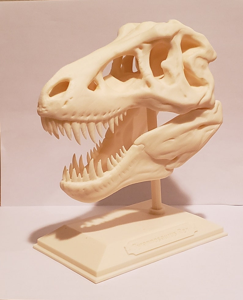 3D Printed T-rex Skull - Etsy