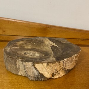 Ashtray Petrified Wood - Etsy