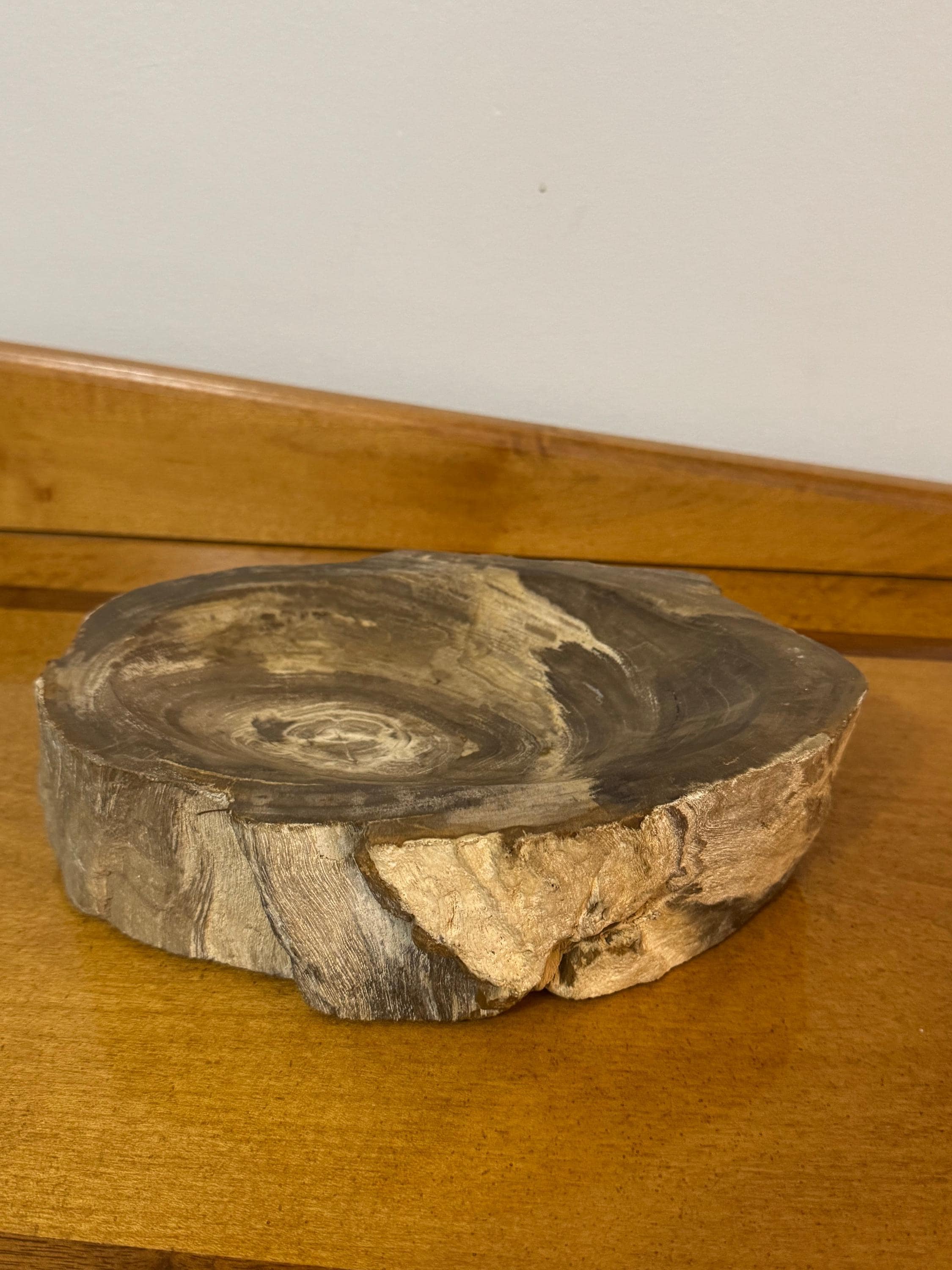 Ashtray Petrified Wood - Etsy