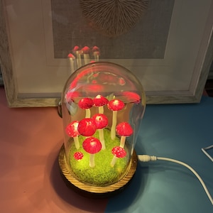 Handmade Red Mushroom Lights Brown Antique Base country style lamps unique lamps anniversary gift USB Battery