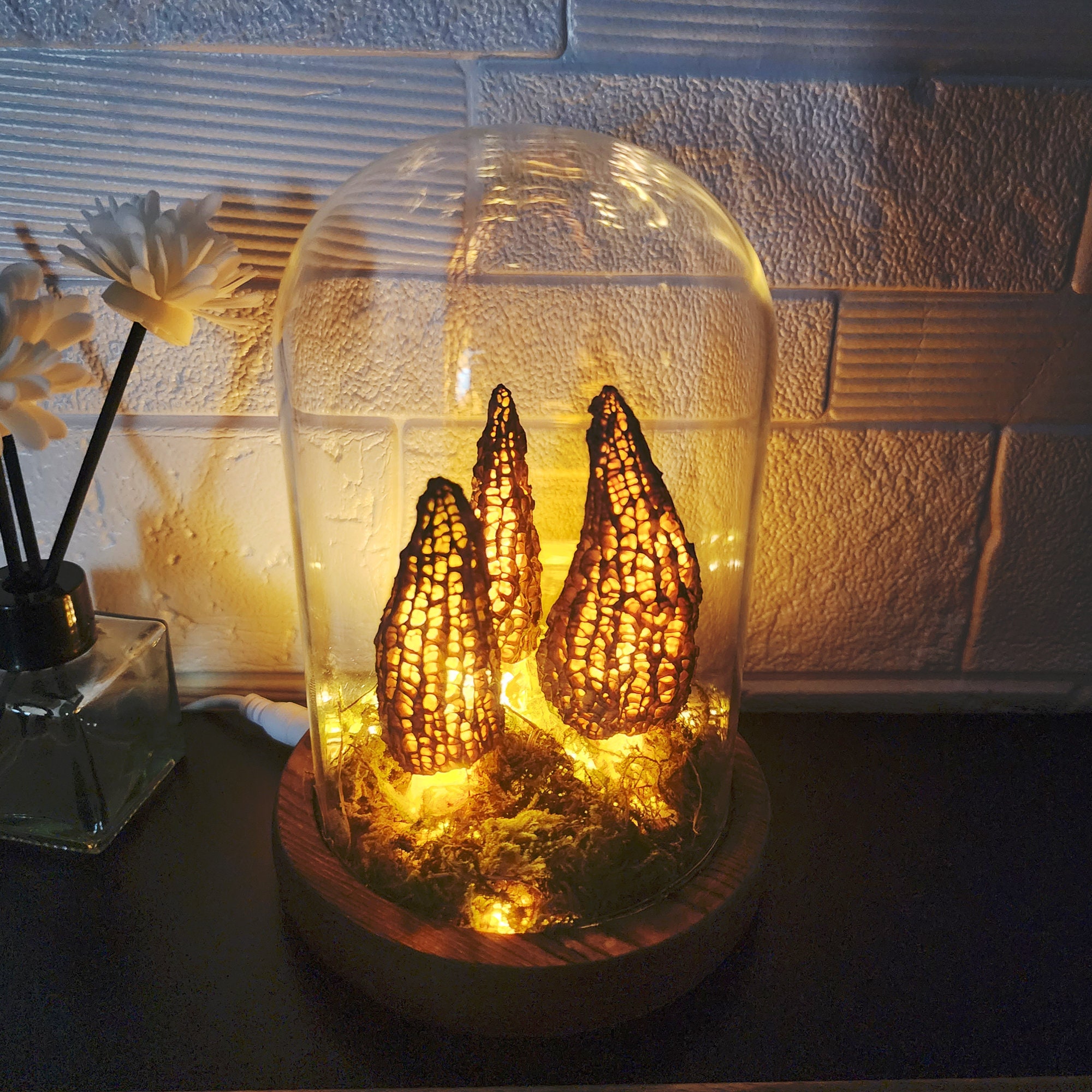 Handmade Morel Mushroom Lamp Wild Mushroom Lamp in a Glass Etsy