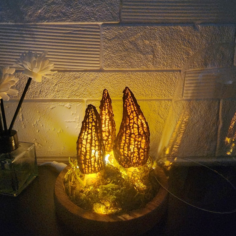 Handmade Morel Mushroom Lamp Wild Mushroom Lamp in a Glass Etsy