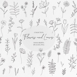 Flowers and Leaves Line art Clipart Bundle, Spring Flower Botanical Illustrations Set, Decorative Wedding Plants, Commercial Use EPS PNG SVG
