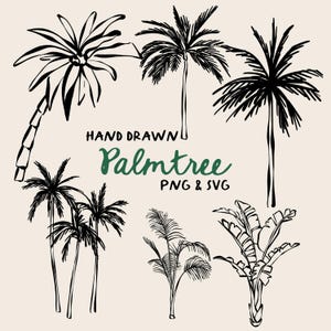 Set di clipart di palme stravaganti, Png / SVG di palme, SVG tropicale, Clipart PNG, 300 dpi, PNG di alberi, Clipart di nozze, Clipart di inviti