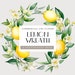 Watercolor Lemon Wreath Png, Wreath Clipart, Transparent PNG, Png ...