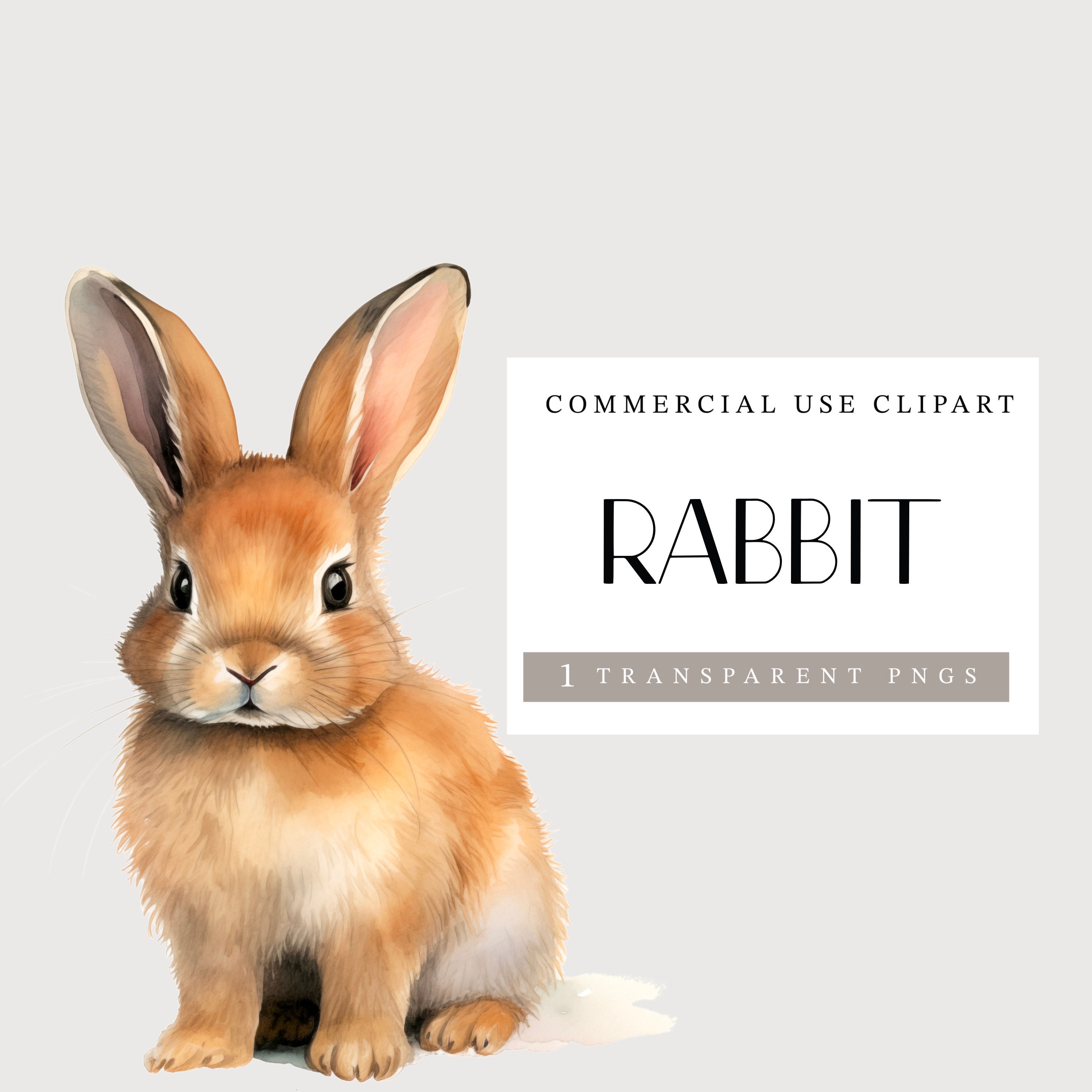 Watercolour Rabbit Png Watercolor Rabbit Png, Rabbit Clipart, Transparent PNG, Png Clipart ...