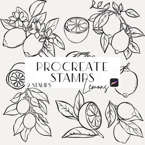 Lemon Procreate Stempel, Line Art, Stempel für Einladungen, Linienzeichnung, Postermacher, Stempel, inklusive kommerzielle Lizenz