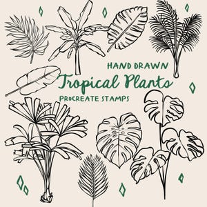 Pinceles para sellos de Procreate con plantas tropicales dibujadas a mano, arte lineal, dibujo lineal, plantas tropicales Procreate, sello de cereza, licencia comercial