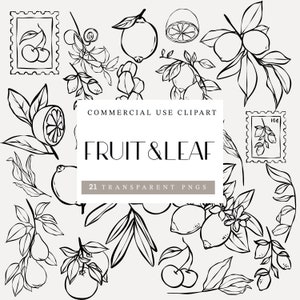 Fruit en blad png-illustraties, fruit png, bladuitnodigingen, fruit en bladafbeeldingen, lijntekeningen, clipart, commerciële licentie, lijnbruiloft