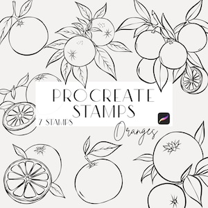 Orangen Procreate Stempel, Line Art, Stempel für Einladungen, Linienzeichnung, Postermacher, Stempel, inklusive kommerzielle Lizenz