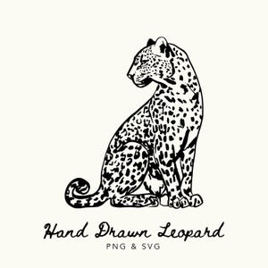 Puede incluir: Ilustración en blanco y negro dibujada a mano de un leopardo en posición sentada, con la cabeza girada hacia un lado. El leopardo tiene un pelaje manchado. El texto "Hand Drawn Leopard" está debajo de la imagen, junto con "PNG & SVG".