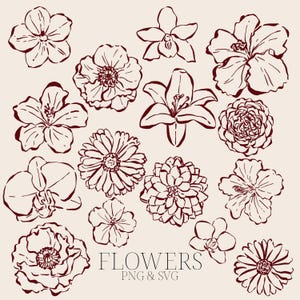 Può includere: Una collezione di illustrazioni floreali disegnate a mano in un colore marrone-rossastro scuro. L'immagine presenta vari tipi di fiori, tra cui ibisco, gigli e orchidee, con il testo "FLOWERS" e "PNG & SVG" in basso.