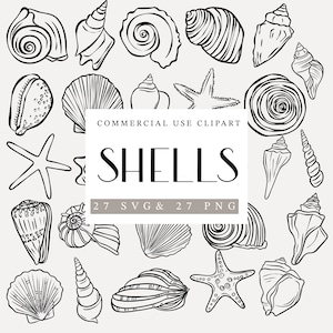 Shell illustraties PNG / SVG, Shell png, Sea Life Images, Line Art Clipart, Commerciële licentie, Line Shells, Sea Clip art, Line Png SVG