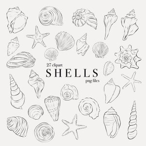 Schelpillustraties | Shell-PNG | Zeeleven Afbeeldingen | Lijn kunst clipart | Commerciële licentie | Lijnschelpen | Zee-illustraties | Lijn PNG