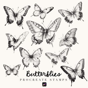 Schmetterling Procreate Stempel, Line Art, Stempel für Einladungen, Line Art, Schmetterlinge Procreate, Sommer Stempel, Line Art