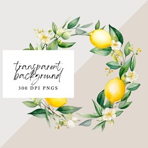 Watercolor Lemon Wreath Png, Wreath Clipart, Transparent PNG, Png ...