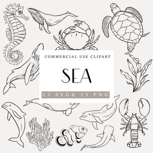 Ilustraciones PNG/SVG del mar, Animales marinos PNG, Invitaciones de vida marina Svg, Imágenes de animales, Imágenes prediseñadas de arte lineal, Licencia comercial, Mar lineal,
