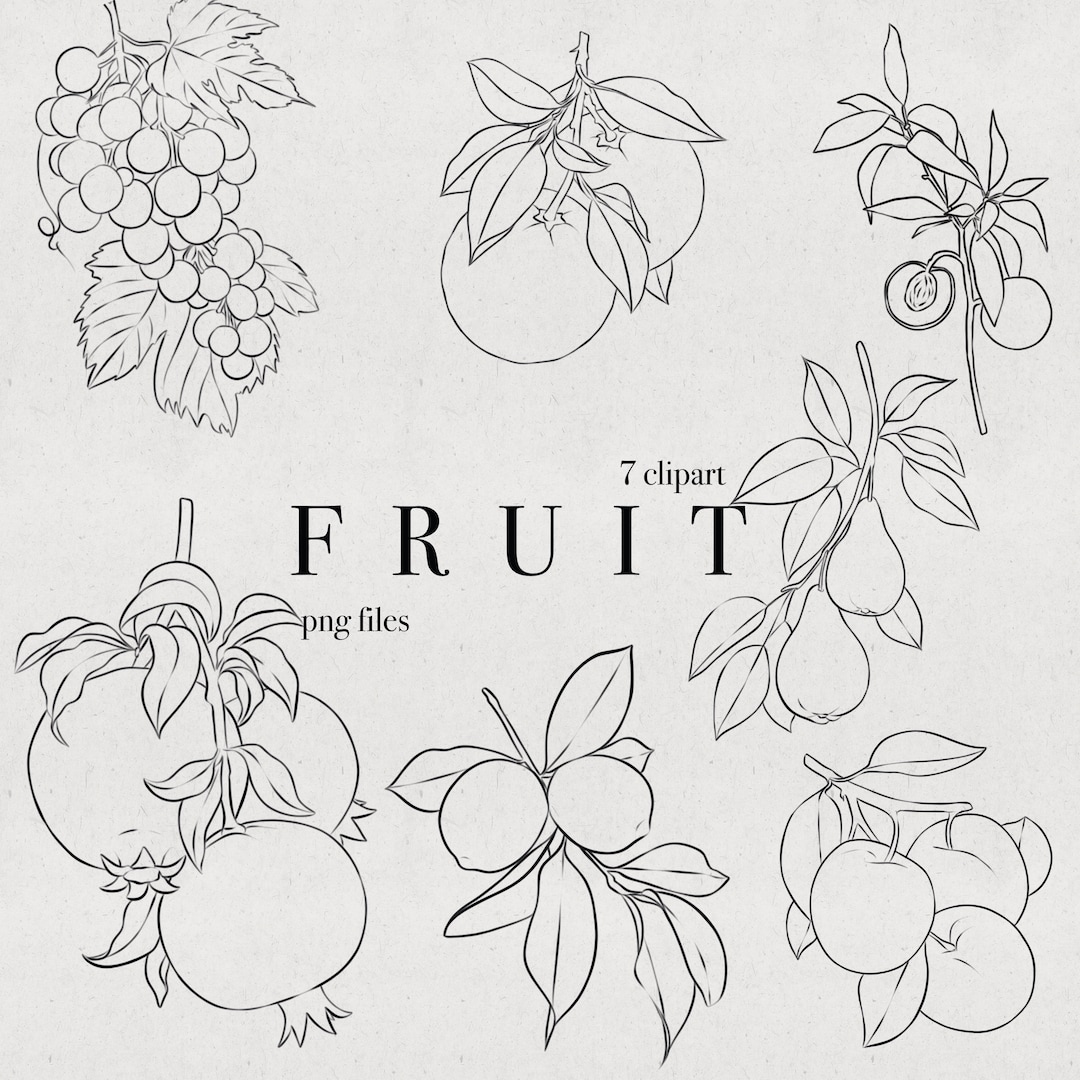 Fruit Leaf Clipart Illustrations Fruit PNG Wedding Images Line Art