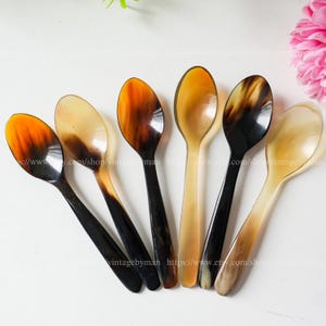 May include: Six spoons with oval bowls and long handles. The spoons have a natural, marbled appearance with shades of brown, tan, and black. The spoons are arranged in a fan shape, showcasing their unique color variations.