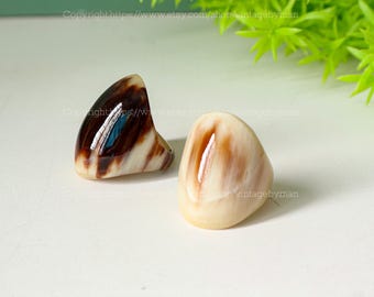 Könnte beinhalten: Zwei Muschelringe, einer mit braunen und weißen Streifen und einer mit einem hellbraunen und weißen Wirbelmuster.