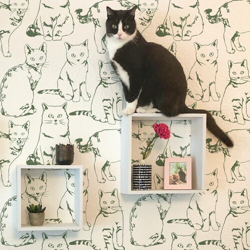 Cats Wallpaper Removable and Peel&stick Wall Art Traditional Etsy