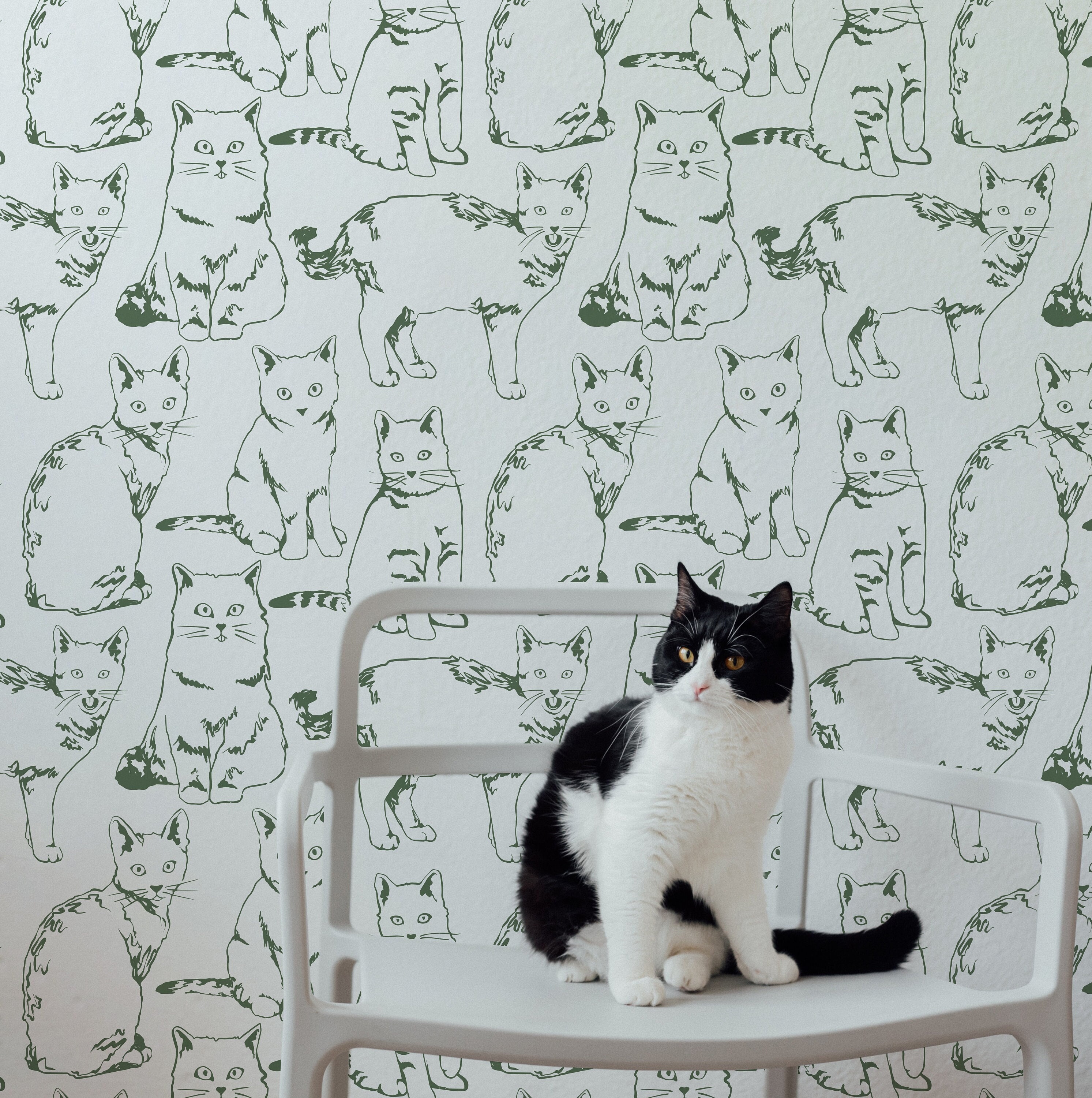 Cat unicorn nursery Wallpaper  Peel and Stick or NonPasted